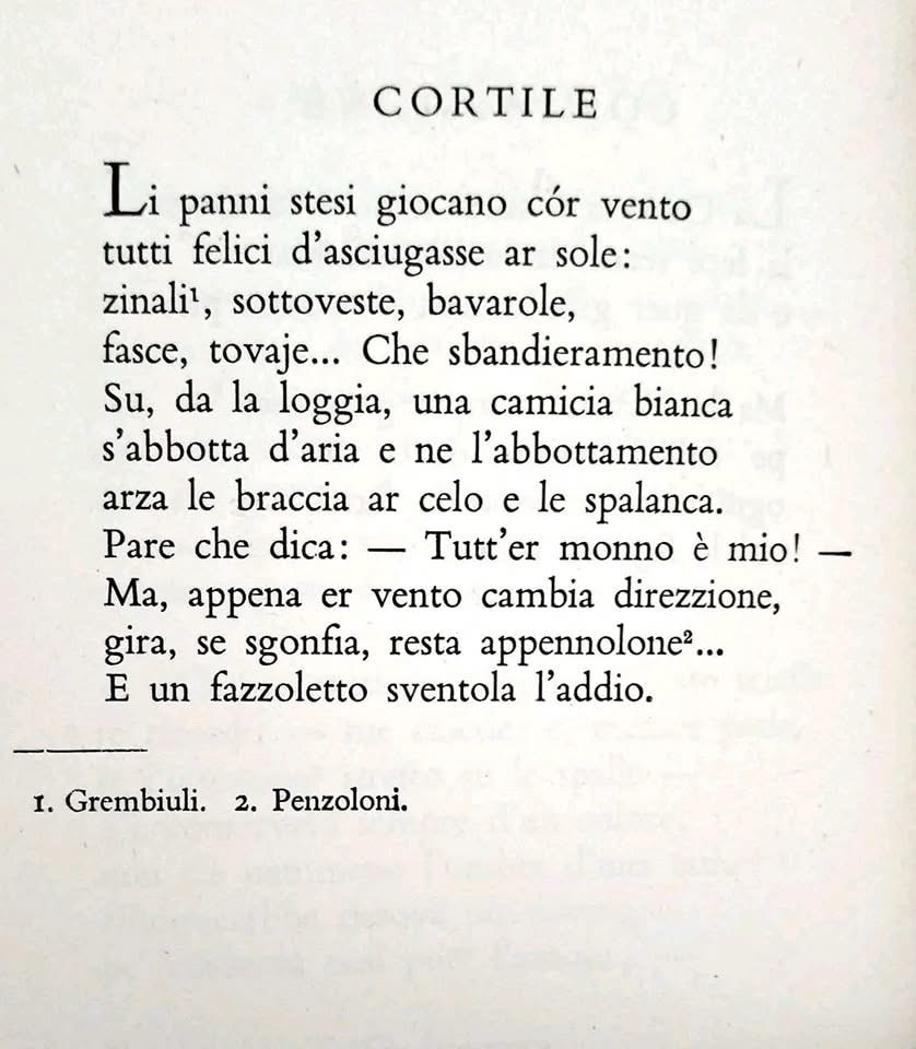 Quando la poesia parla come la gente: il dono di Trilussa&nbsp;￼